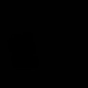 Meet your Posher, Melia